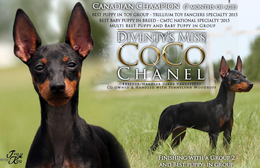 CoCo